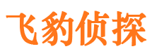 萨嘎市婚姻出轨调查